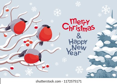 Funny Bullfinches and Rowan tree under the snowfall. Vector Christmas greeting card. For Christmas decoration, posters, banners, sales and other winter events. Funny Bullfinches and Rowan tree under the snowfall. Vector Christmas greeting card. For Christmas decoration, posters, banners, sales and other winter events.
