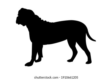 Gracioso Bullmastiff Perro Vector Art