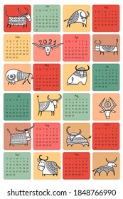 Funny bulls calendar design. Symbol of new year 2021. Bull, ox, cow. Vector illustration