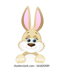 Funny bunny