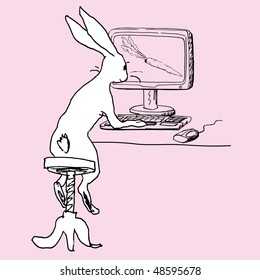 funny bunny