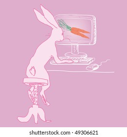 funny bunny