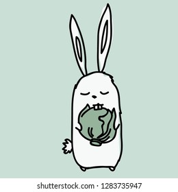 funny bunny keeps cabbage paws and gnaws at her with teeth.