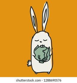 funny bunny keeps cabbage paws and gnaws at her with teeth.