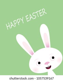 Funny Bunny on green background.