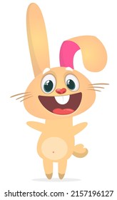 Funny bunny rabbit cartoon. Vector rabbit  illustration isolated
