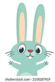 Funny bunny rabbit cartoon. Vector rabbit  illustration isolated
