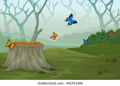 funny butterfly  with deep forest landscape background