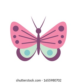 Funny butterfly flat icon. Vector funny butterfly in flat style isolated on white background. Element for web, game and advertising