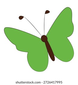 Mariposa divertida sobre fondo blanco