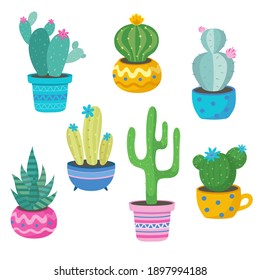 Funny Cactus with pots cute style Vector on white