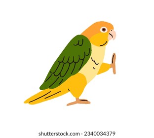 Funny caique, tropical bird. Cute white-bellied yellow-headed parrot. Amusing exotic green-winged birdie going, walking, stepping with raised leg, paw. Flat vector illustration isolated on background