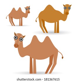 Funny camel on white background. vector
