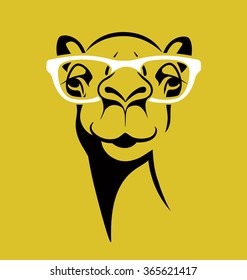 funny camel wearing glasses. vector illustration for T shirt, poster, print design.
