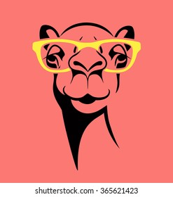 funny camel wearing glasses. vector illustration for T shirt, poster, print design.