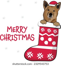 Funny Canaan dog in Christmas stocking. Funny holiday greeting card with a cute dog head with paws. New year postcard. Winter gift, pet in socks, cute X-mas design with a favorite pet in a hat. 