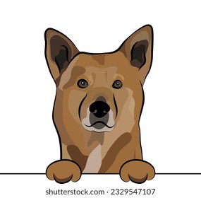 Funny Canaan dog with paws in a pocket, vector illustration. Cute dog head with paws on a white background, isolated logo. Hand-drawn mascot. Funny dog muzzle over a white wall. BFF. Mongrel breed dog