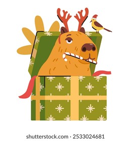 Funny capybara in deer antlers sitting in a Christmas gift box eating candy cane flat vector illustration isolated on white.