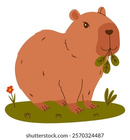 Funny capybara. Exotic rodent eating leaves. Hand drawn vector illustration