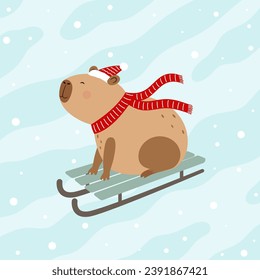 Funny capybara rides sledge. Winter funny card