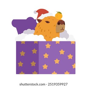 Funny capybara in Santa's hat with tangerine on it's nose sitting in a gift box flat vector illustration isolated on white.