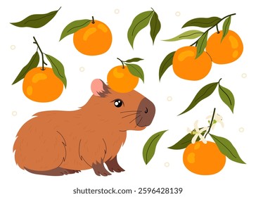 Funny capybara with tangerine on head. Kawaii herbivorous rodent. Ripe tangerine on twig. Citrus orange fruit. Aromatic sweet tangerine with green leaves. 