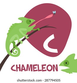 Funny cartoon animals vector alphabet letter for kids from A to Z. C is Chameleon   Vector illustration