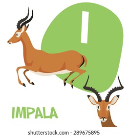 Funny cartoon animals vector alphabet letter for kids from A to Z. I is Impala. Vector illustration