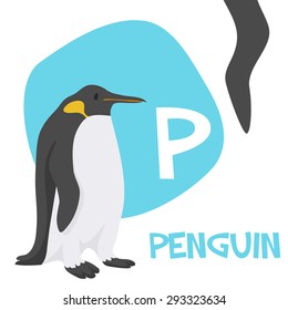 Funny cartoon animals vector alphabet letter for kids from A to Z. P is penguin. Vector illustration