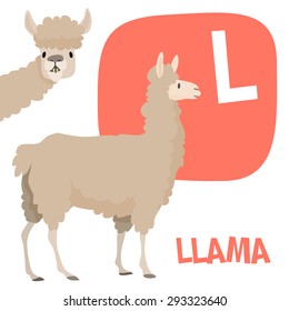 Funny cartoon animals vector alphabet letter for kids from A to Z. L is Llama. Vector illustration