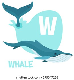 Funny cartoon animals vector alphabet letter for kids from A to Z. W is Whale. Vector illustration
