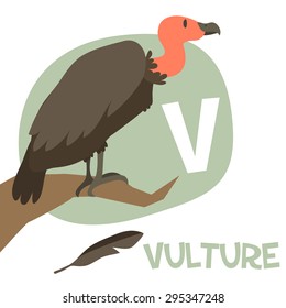 Funny cartoon animals vector alphabet letter for kids from A to Z. V is Vulture. Vector illustration