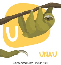 Funny cartoon animals vector alphabet letter for kids from A to Z. U is sloth. Vector illustration