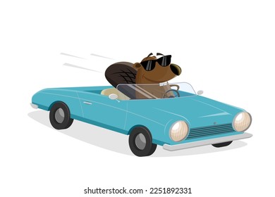 funny cartoon beaver driving a convertible