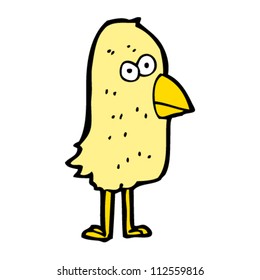 funny cartoon bird
