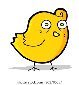 funny cartoon bird