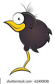 funny cartoon bird