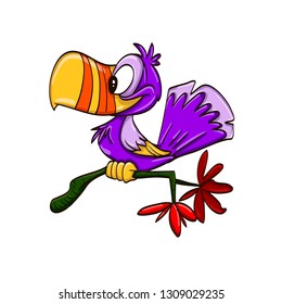 funny cartoon bird with big beak