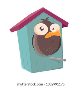 funny cartoon bird in a bird box