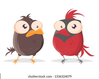 funny cartoon bird looking at red cardinal bird