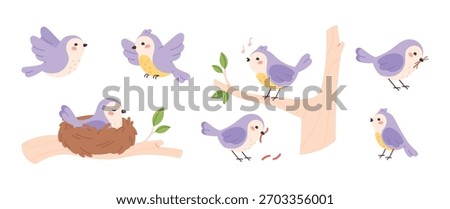 Funny cartoon birds. Tiny bird eating worms, singing, rest in nest, sitting on tree branch, flying. Sparrow or tit characters, isolated vector clipart