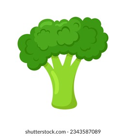 Funny cartoon broccoli. Cute vegetable. Vector food illustration isolated on white background.