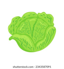 Funny cartoon cabbage. Cute vegetable. Vector food illustration isolated on white background.