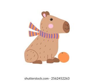 Funny cartoon capybara in knitted scarf. Animal in warm clothes, winter season. Orange, fruit, children's illustration, postcard design in flat style.