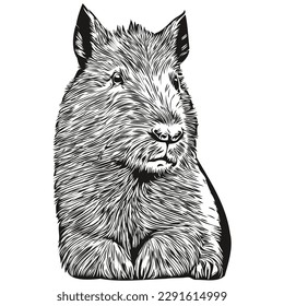 Funny cartoon Capybara, line art illustration ink sketch capybaras
