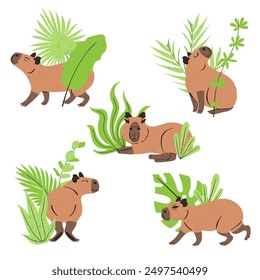 Funny cartoon Capybaras with plants set isolated on white. Cute South American jungle animal illustrations bundle.