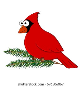 Funny cartoon cardinal bird. Vector bird  illustration. Cartoon bird. Isolated on white background.