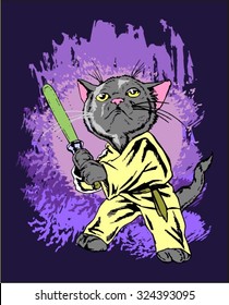 funny cartoon cat in the costume of the hero of the a fantastic film  with a light sword 