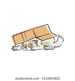 Funny cartoon cat hiding under a box, cute grey kitten playing and peeking from under a cardboard container. Simple feline pet drawing vector illustration