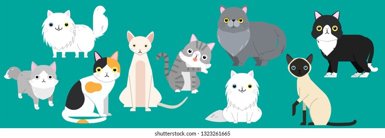 Funny cartoon cats characters different breeds cute pet animal set, vector illustration
